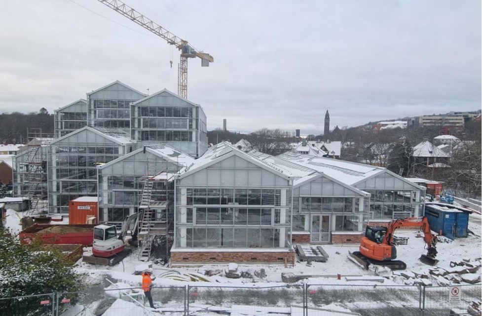 Goteborg botanical greenhouse glass construction