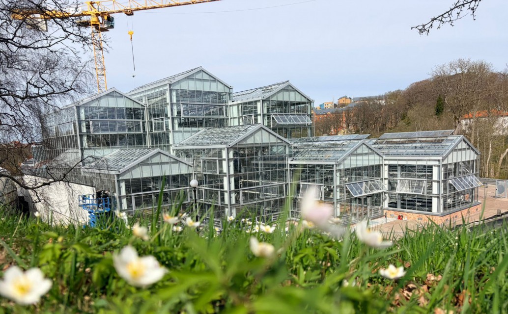 Greenhouse for Goteborgs Botaniska Tradgard botanical garden 7