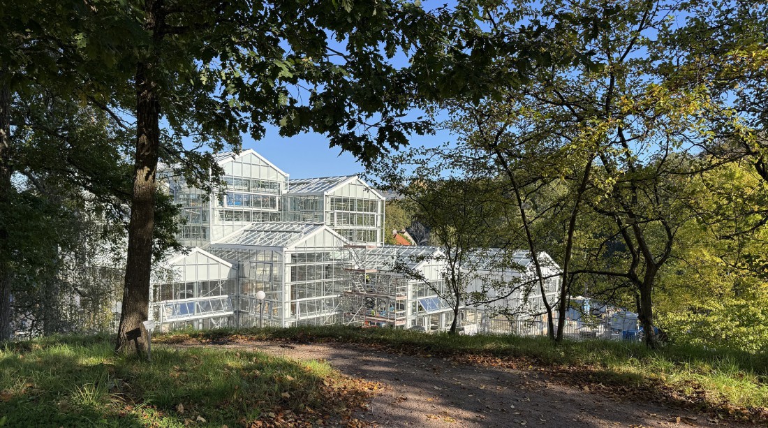 Realisation Botanical garden construction Gothenburg