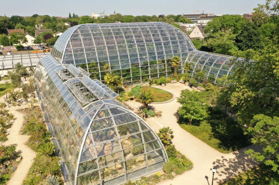 Botanic garden Flora Cologne Tropical glasshouse