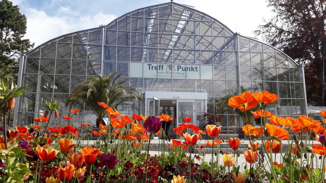 berlingen Planzenhaus Landesgartenschau Gewachshaus