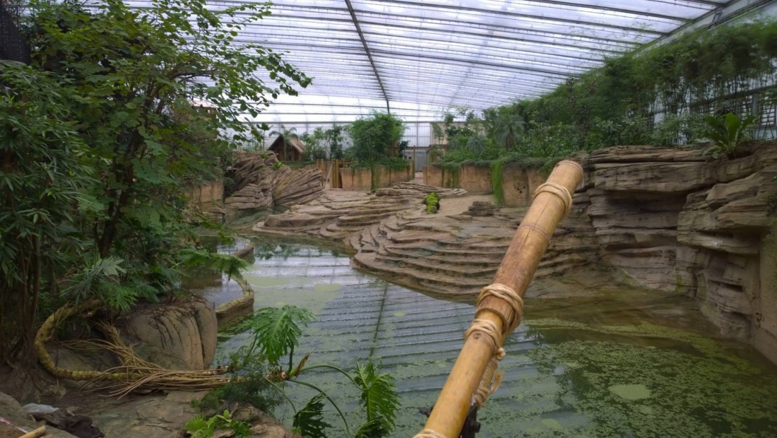 dierentuin Wildlands zoo glasshouse