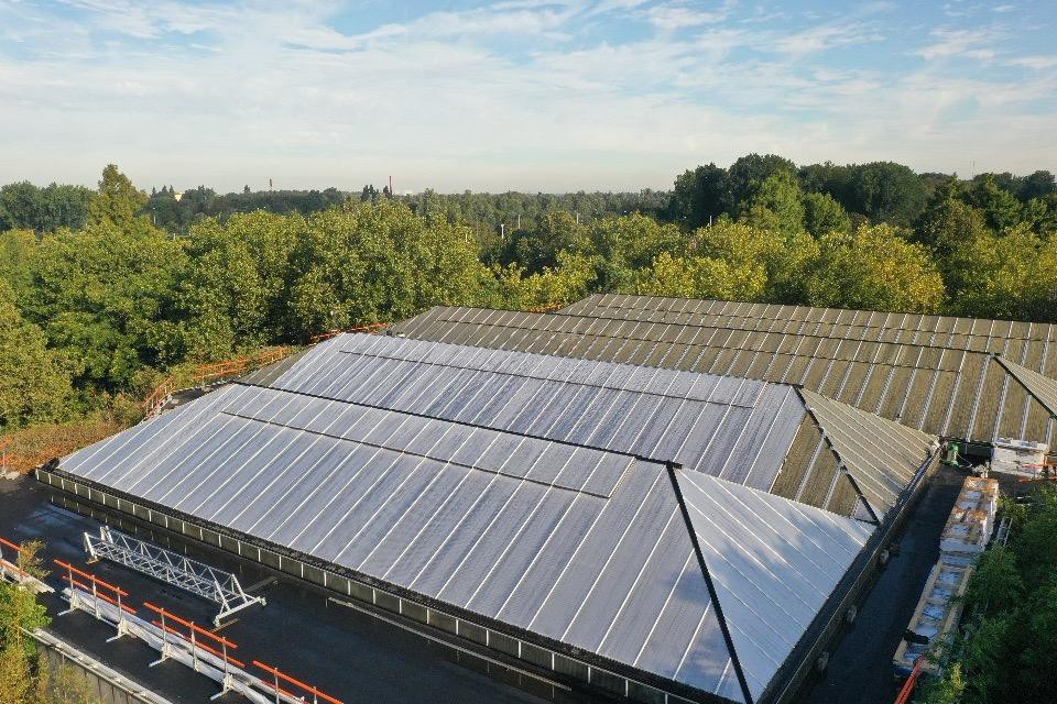 Rotterdam Zoo enclosure renovation