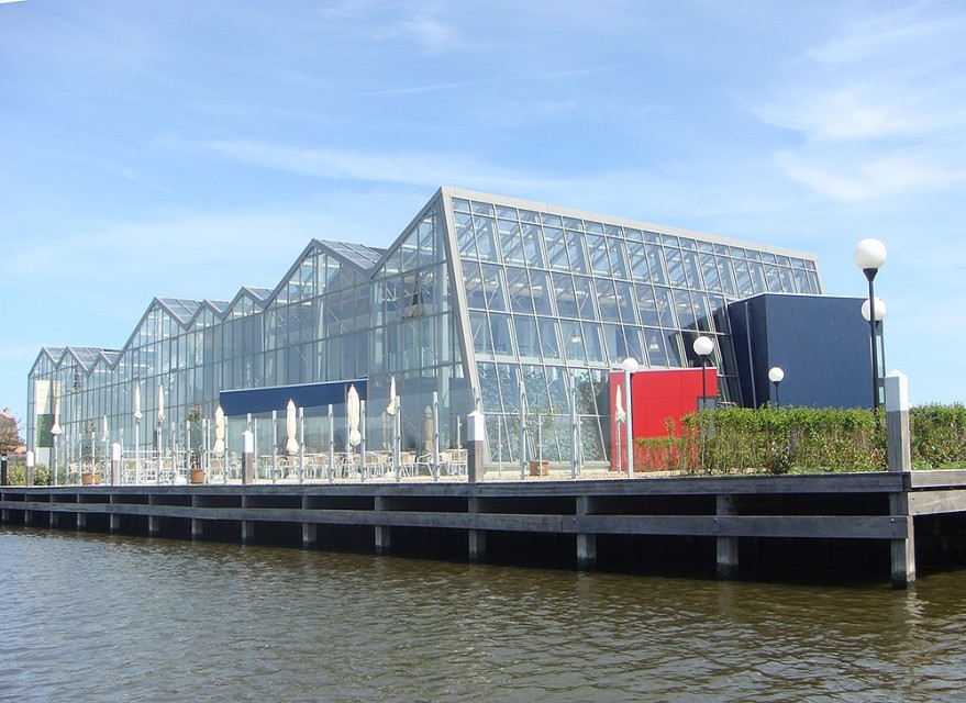 Westlandsedruif2 glasshouse