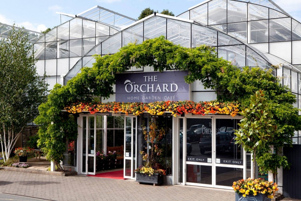 Orchard