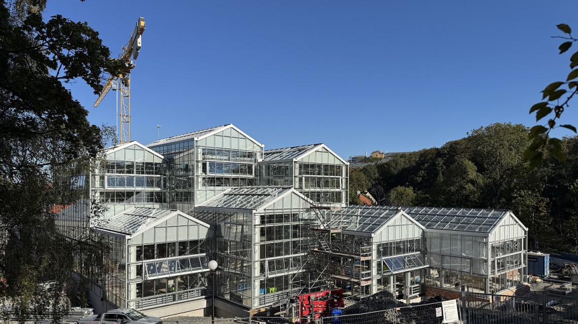 Realisation Botanical construction Gothenburg garden glass