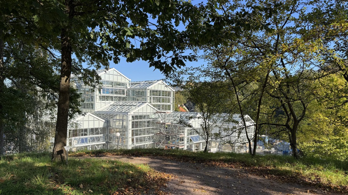 Realisation Botanical garden construction Gothenburg