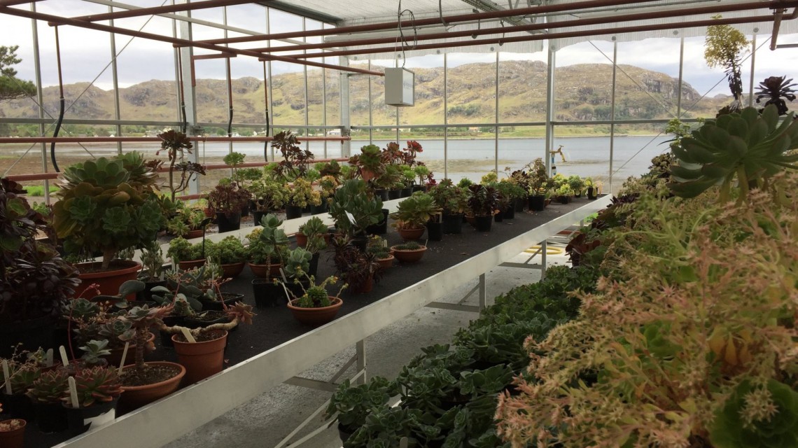 Inverewe plant glass construction