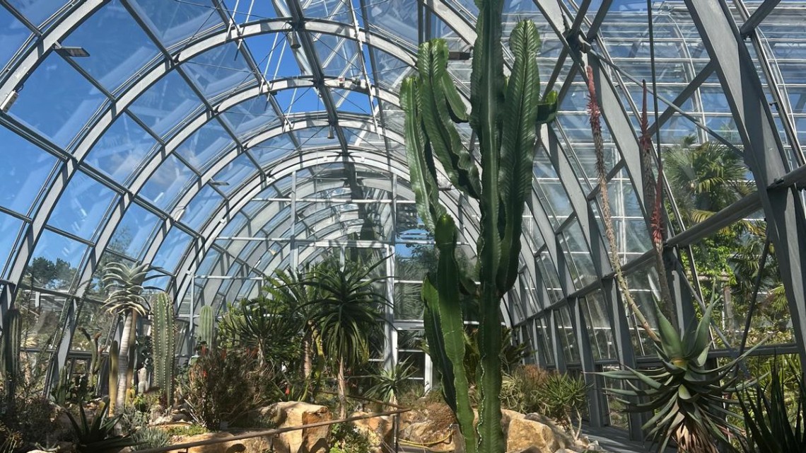 Desert and Tropical climate in botanical glasshouse 1