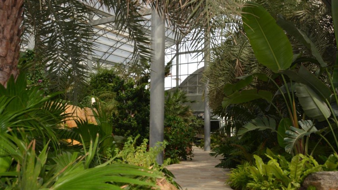 Bayan Palace Amiri Internal 5