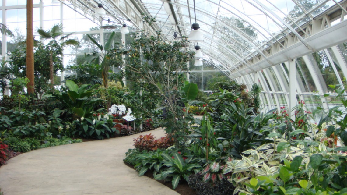 Inside glasshouse Wisley