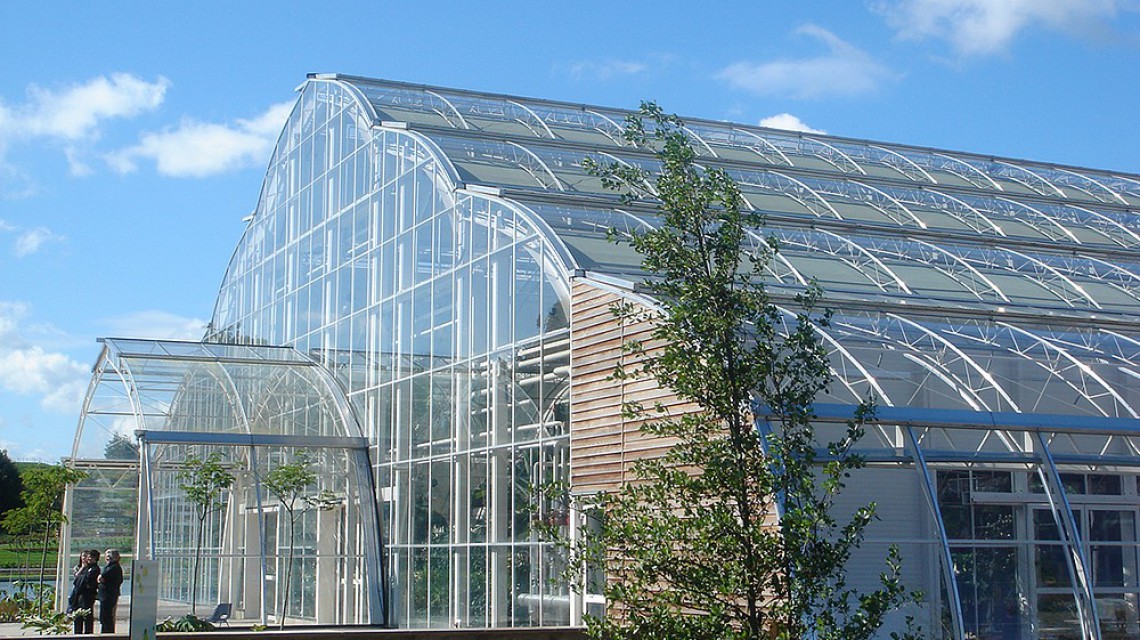 Wisley botanical garden glasshouse