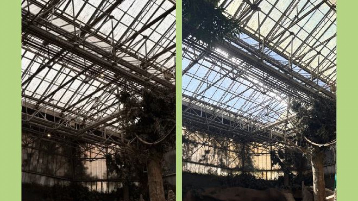 Blijdorp Renovation zoo