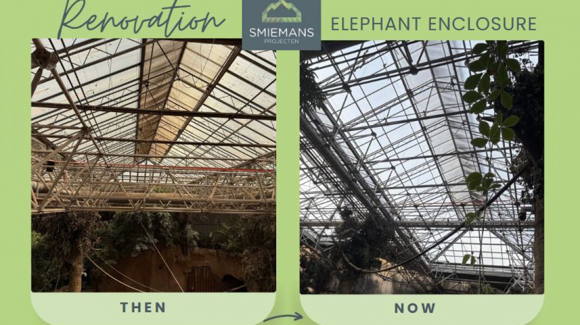 Result renovation Rotterdam Zoo 2
