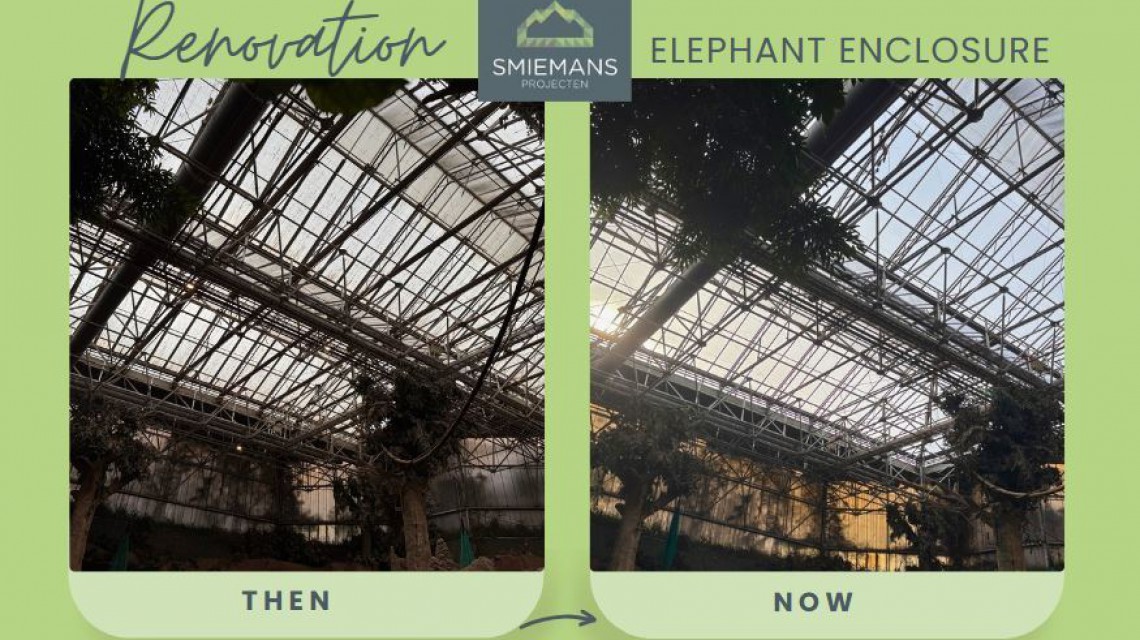 Result renovation Rotterdam Zoo