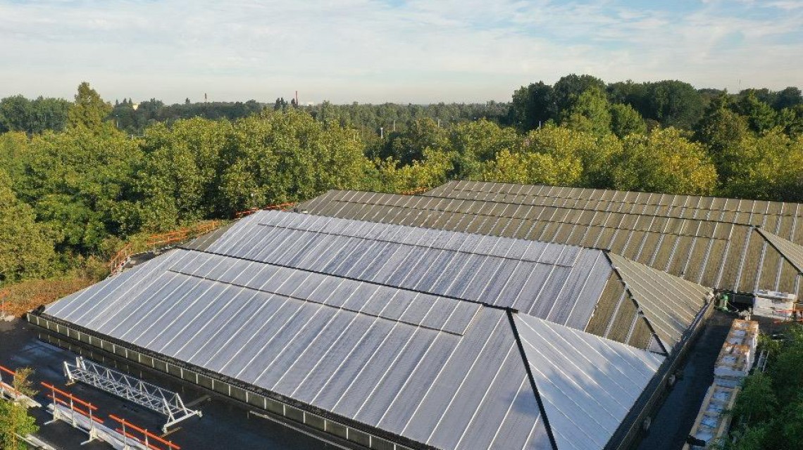 Rotterdam Zoo enclosure renovation