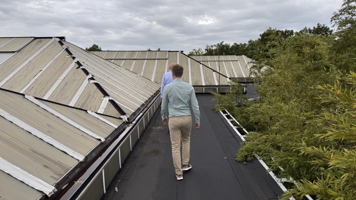 roof renovation elephant enclosure zoo dak renovatie blijdorp 10