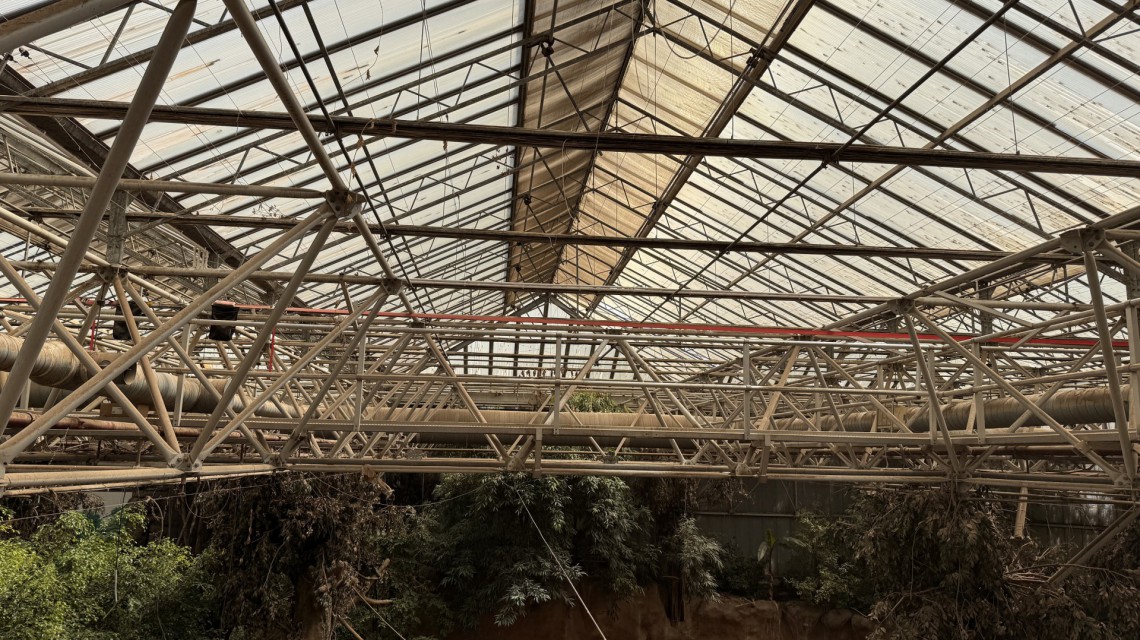 roof renovation elephant enclosure zoo dak renovatie blijdorp 24