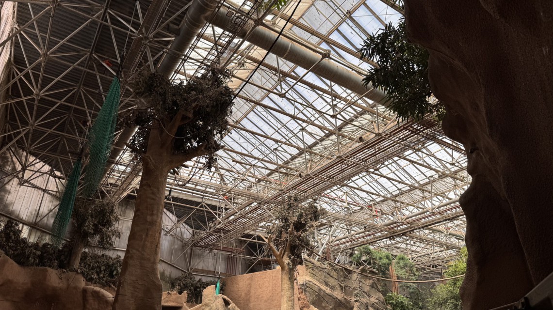 roof renovation elephant enclosure zoo dak renovatie blijdorp 28
