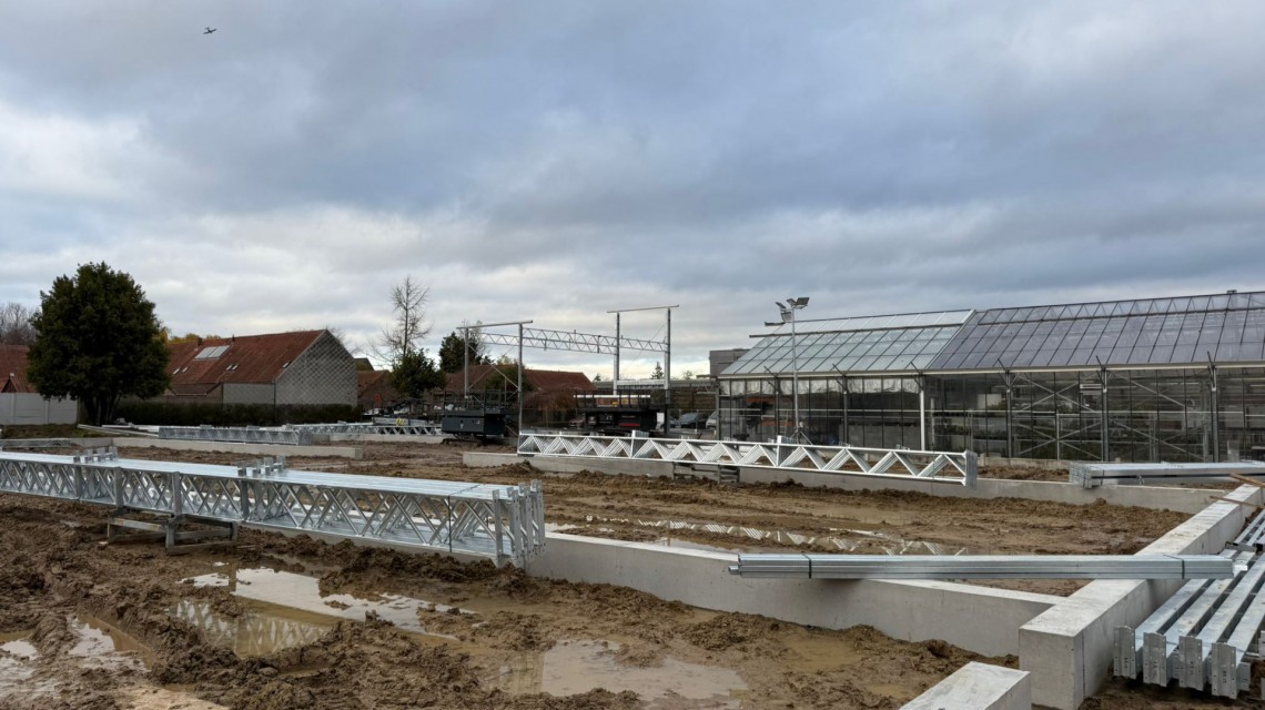 Steel structure for educational atrium campus