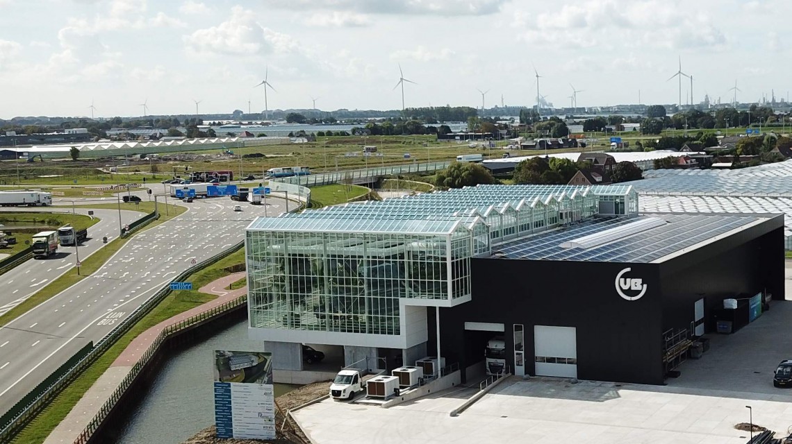 VB September 2020 5