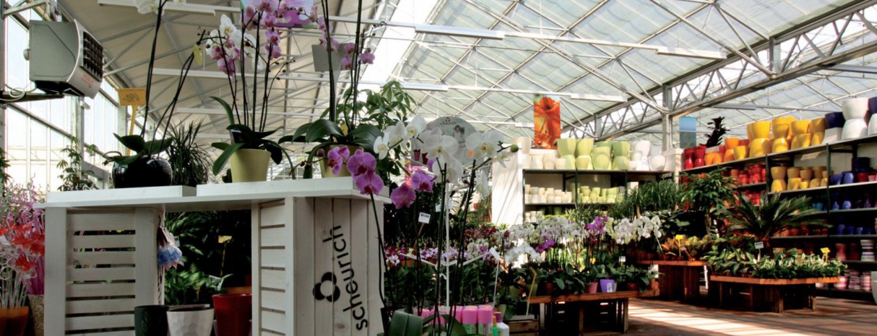 Dvorak6GardenCentre