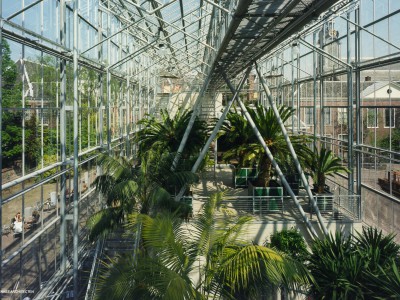 Hortus Botanicus Leiden 03