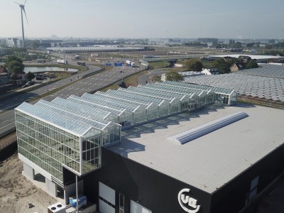 VB Smiemans atria greenhouse construction