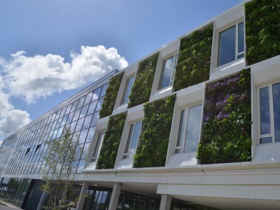 Groene muur WHC