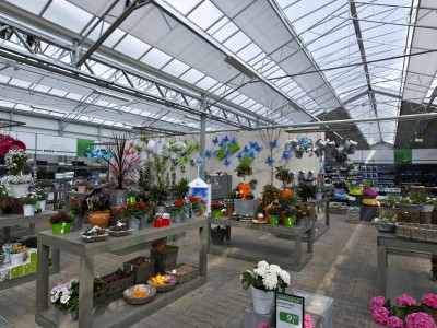 Almeerplant tuincentrum breedkap