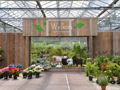 Bloemenhuis refurbishment garden centre