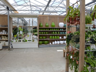 Refurbishment garden centre