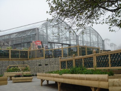 garden centre petal plants 0