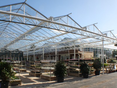 Squires garden centre woking