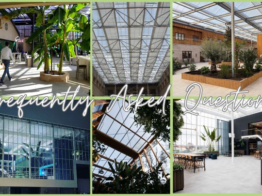 FAQ Expertise en Insights