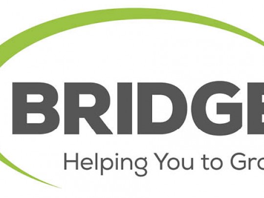 Bridge logo