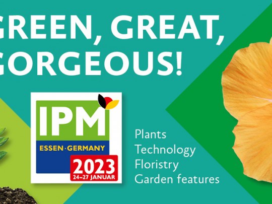 IPM 2023