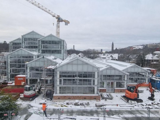 Goteborg botanical greenhouse glass construction