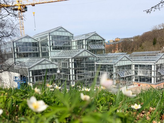 Greenhouse for Goteborgs Botaniska Tradgard botanical garden 7