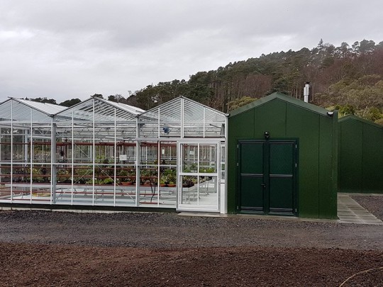 Inverewe glasshouse