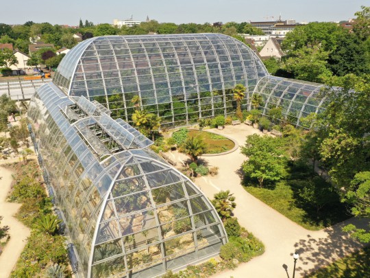 Botanic garden Flora Cologne Tropical glasshouse