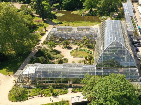 Botanic garden Flora Tropical curved glasshouse