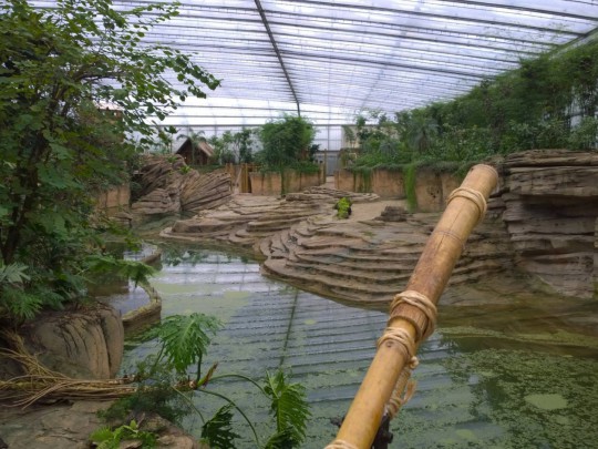 dierentuin Wildlands zoo glasshouse