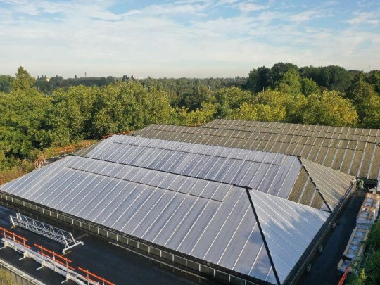 Rotterdam Zoo enclosure renovation