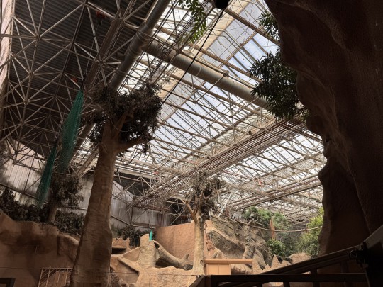 roof renovation elephant enclosure zoo dak renovatie blijdorp 28