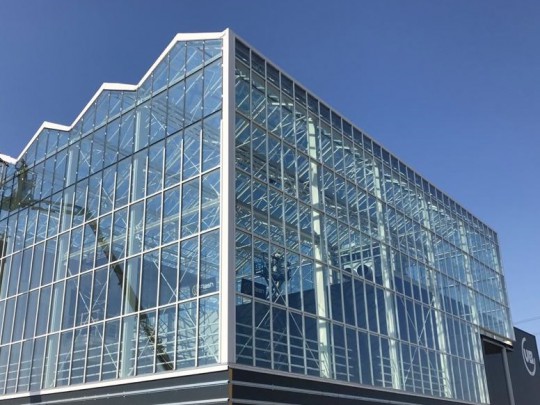 VB Smiemans atria glass construction 5 1