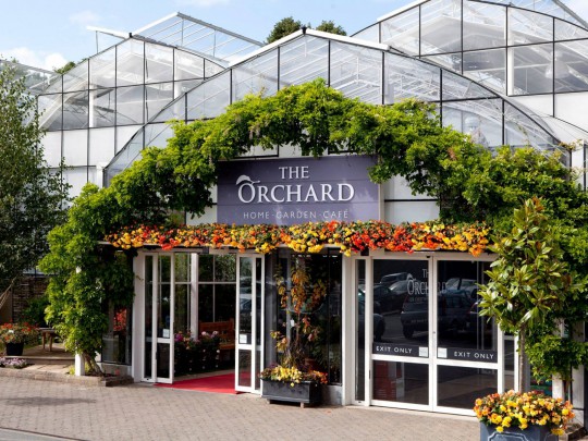 Orchard