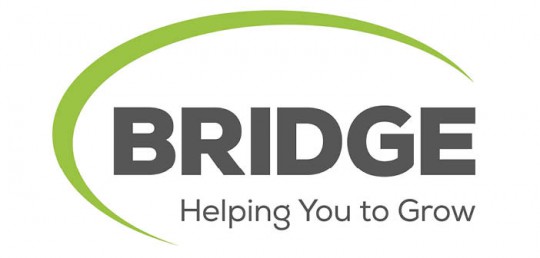 Bridge logo