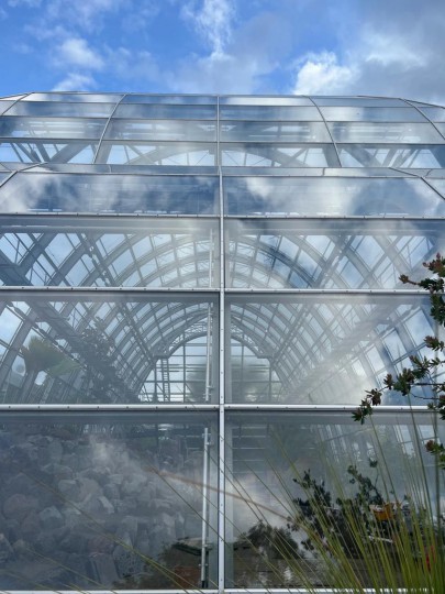 Inside Tropical glasshouse Botanic garden Flora in Cologne 8