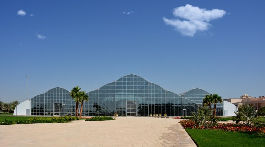 Bayan Palace Amiri Botanical Garden 4